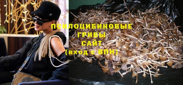 МДПВ Майский