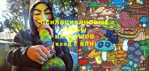 МДПВ Майский
