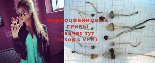 МДПВ Майский