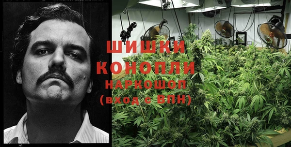 MESCALINE Магас
