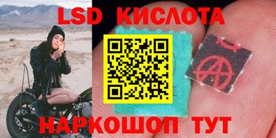 амф Малгобек