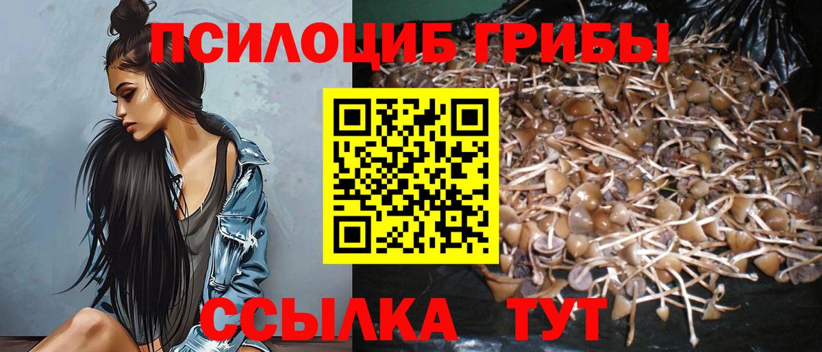 Строитель  Галлюциногенные грибы Psilocybe  Галлюциногенные грибы ЛСД  Вход с VPN 