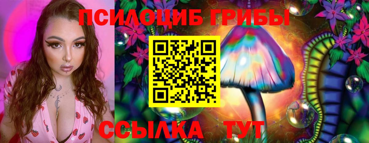 Псилоцибиновые грибы мицелий Строитель