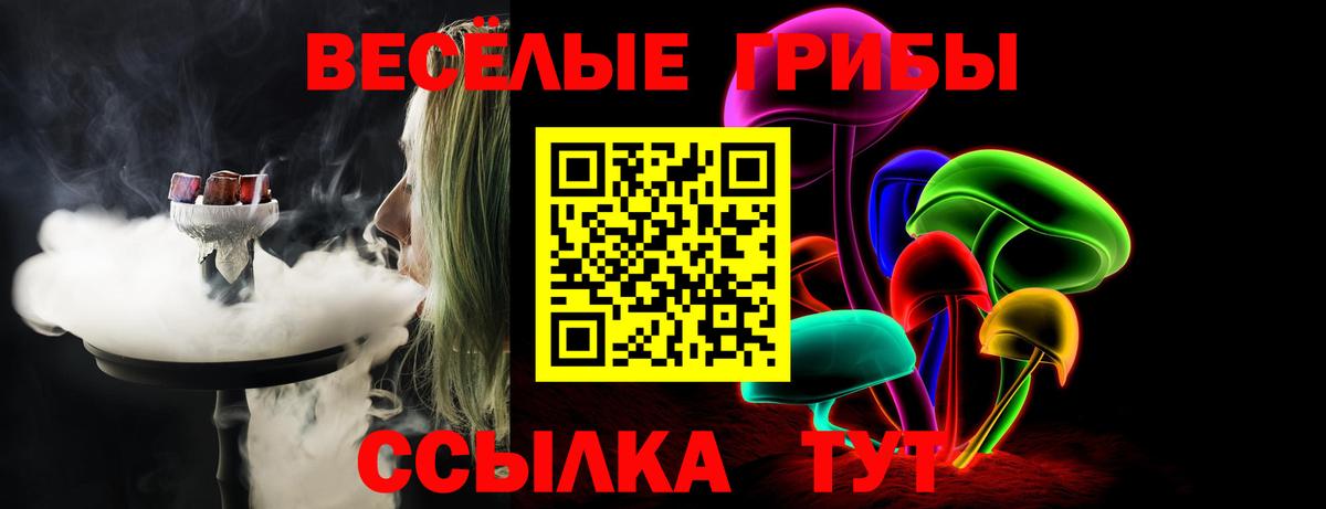 Строитель  Псилоцибиновые грибы GOLDEN TEACHER  купить наркотики сайты  Галлюциногенные грибы Psilocybine cubensis  Вход с VPN 